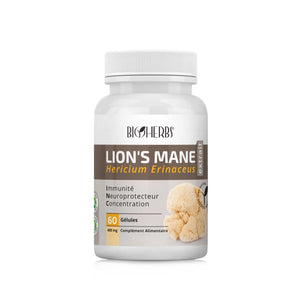 Vigaia Lion’s Mane – Soutien Cognitif & Bien-être Cérébral