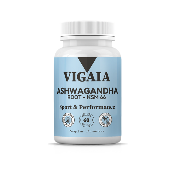 Ashwagandha KSM 66® – Gélules Adaptogènes Premium